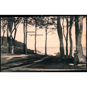 Nyborg - Teglv�rksskoven - Peter Alstrup 7118 - Brugt