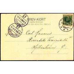 Tisvilde Leje set fra Vest II - Albert Jensens Bogh. u/n - Brugt