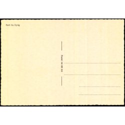 Parti fra Dyrvig - Eneret 143 825 012 - Ubrugt