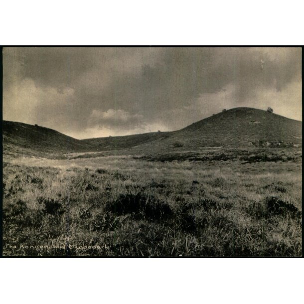 Fra Kongenshus Mindepark - Kongenshus 94421 - Ubrugt