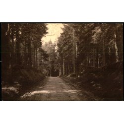 Hulvej i Hornb�k Plantage - V. T�rck u/n - Ubrugt