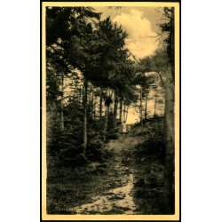 Tisvildeleje - Rudolf Olsen 5864 - Ubrugt