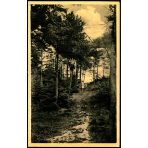 Tisvildeleje - Rudolf Olsen 5864 - Ubrugt