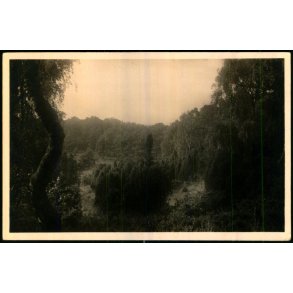 Tisvilde Hegn - Paradisdalen - Stationskiosken 101 - Ubrugt