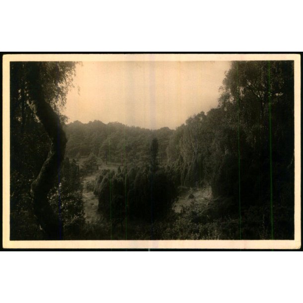 Tisvilde Hegn - Paradisdalen - Stationskiosken 101 - Ubrugt