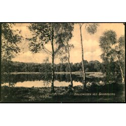 B�llemosen ved Skodsborg - D.L.C. 1106 - Brugt