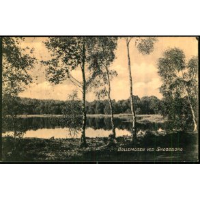 B�llemosen ved Skodsborg - D.L.C. 1106 - Brugt