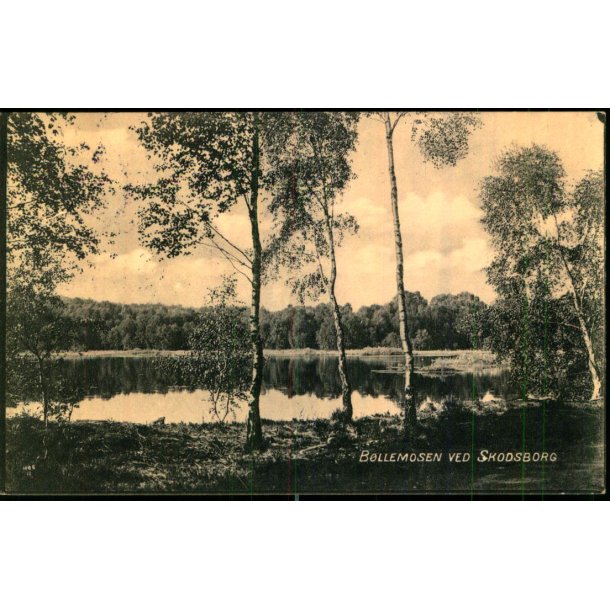 Bllemosen ved Skodsborg - D.L.C. 1106 - Brugt