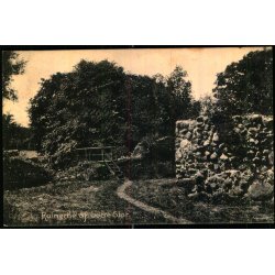 Ruinerne af Gurre Slot - Schytt 15523 - Brugt