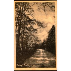 Skovvej - Tisvilde Hegn - K. Poulsens Bogh. u/n - Brugt