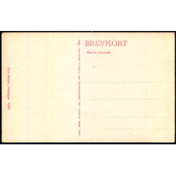 Helsing�r - Holger Danskes V�relse i Kassematterne under Kronborg - O. Schytt 18036 - Ubrugt