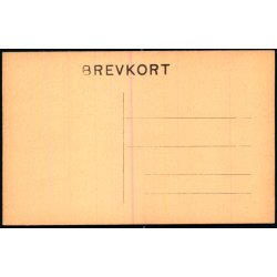 Kbenhavn -  Raadhuset - u/n - Ubrugt