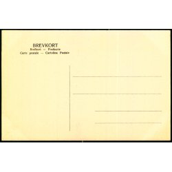 Middelfart - Kongebroveien - O. Spring u/n - Ubrugt