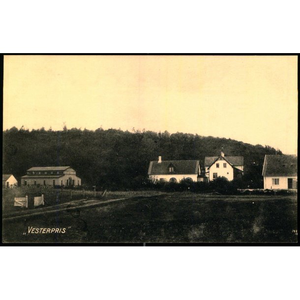  "Vesterpris"  - Albert Jensens Bogh. Eneret