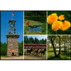 Bornholm - Almindingen - W. Dams Bogh. 6164 - Brugt