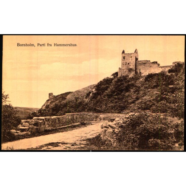 Bornholm - Parti fra Hammershus - Frits Srensens Bogh. 593 - Ubrugt