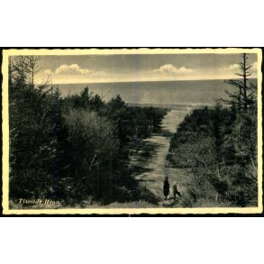 Tisvilde Hegn - Rudolf Olsen 9282 - Brugt