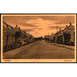 Odense - Gr�ndals All�  - Nicolai Siwerts Kunstforlag Eneret u/n - Ubrugt