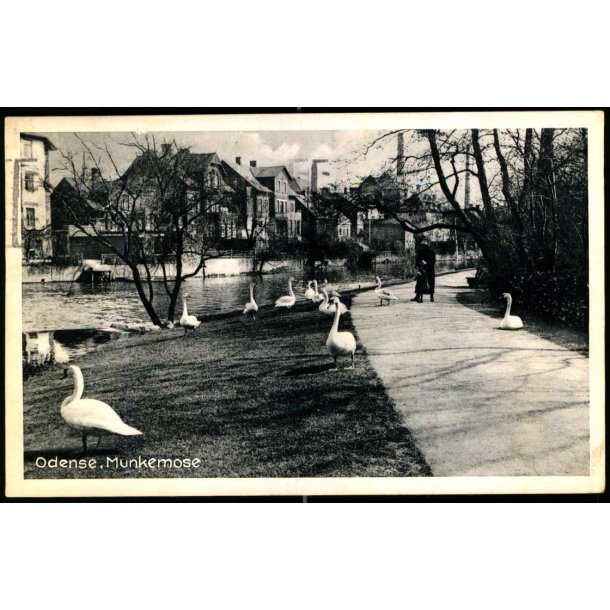 Odense  - Munkemose - Odense Papir 68578 - Brugt