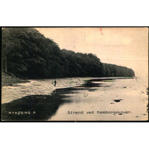 Nyk�bing F. - Strand ved Hamborgskoven -  Stender 12460 - Brugt