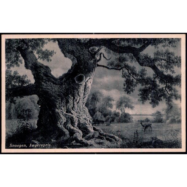 Snoegen - Jgerspris - Roses Bogh. 12 - Ubrugt