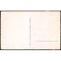 Ribe - Domkirkes Indre - A. Lauridsen 6314 - Ubrugt