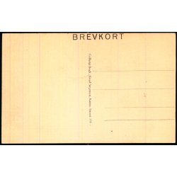 Bornholm - Manteltaarnet - Hammershus Ruiner - Colbergs Bogh. 535 - Ubrugt