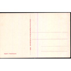 Aaparti i Frederiksv�rk - A. Jensens Bogh. 28036 - Ubrugt