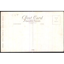 S.S. Ile De France - Salmon 5106 - Ubrugt