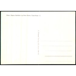 Tronflgeren Prinsesse Margrethe og Prins Henrik med Prinserne Frederik og Joachim - Ditlevsen 1969 