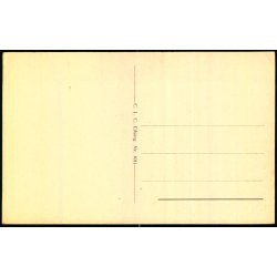 Esbjerg - Spangsberg Sanatoriet - C.J.C. 8011- Ubrugt