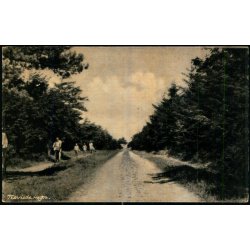 Tisvilde Hegn - P. Thuneby 15545 - Ubrugt