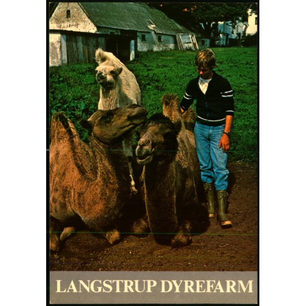 Langstrup Dyrefarm - Top Card 956 - Ubrugt