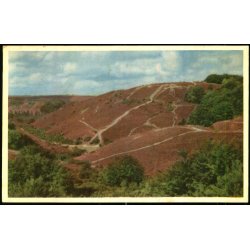 Rebild Nationalpark - Stender 5 - Brugt