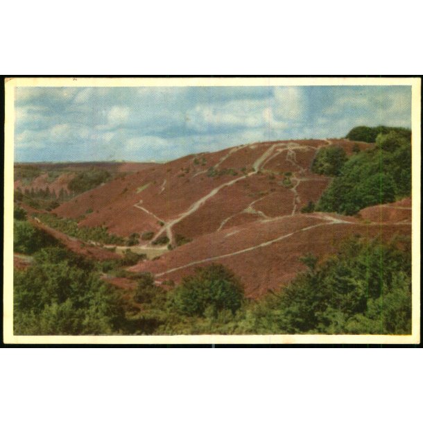 Rebild Nationalpark - Stender 5 - Brugt