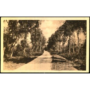 Birke Alle - Adserbo - E. Ramlau u/n - Brugt