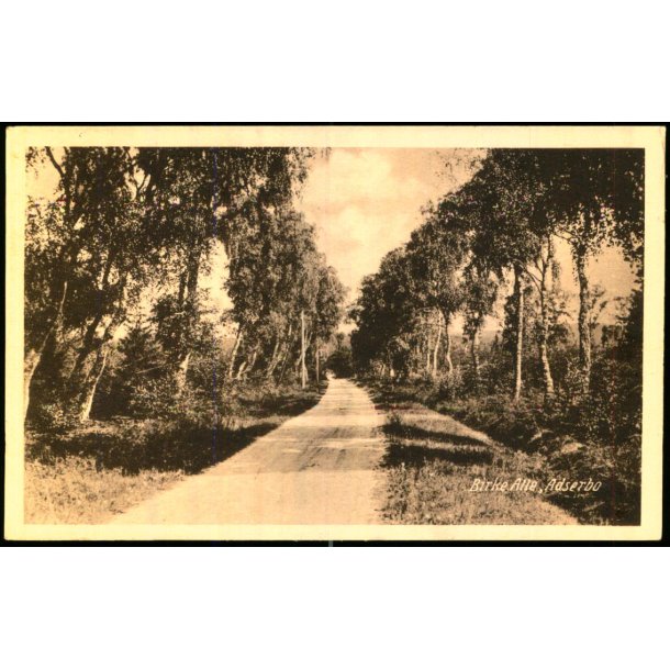 Birke Alle - Adserbo - E. Ramlau u/n - Brugt