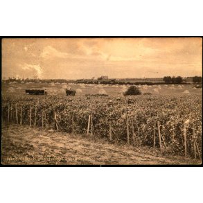 Fyens Stifts Husmandsskoles Landbrug - H�jstrup - J.C.P. V. u/n - Brugt