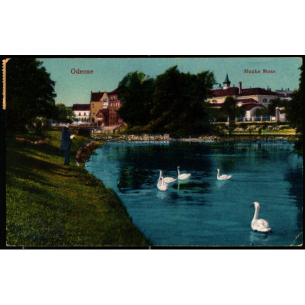 Odense - Munke Mose - Eneret 3009 - Brugt