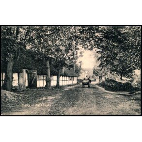 Tisvilde Gade  - Albert Jensens Bogh. 8015 - Brugt 