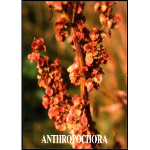 Anthropochora - Postverk Froya u/n - Ubrugt