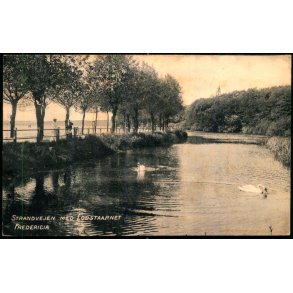 Fredericia - Strandvejen med Lodstaarnet - Gr�nholts Bogh. 8 - Brugt