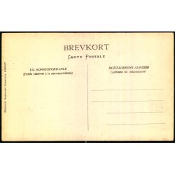 Fredericia - Lundings Monument - Gr�nholts Bogh. u/n - Ubrugt