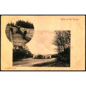 Partier fra Skal Plantage - E.P. Hjorth u/n - Ubrugt