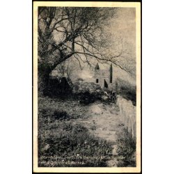 Bornholm - Parti ved  Hammershus Ruiner med Blommetaarnet - Colbergs Bogh. 541 - Brugt