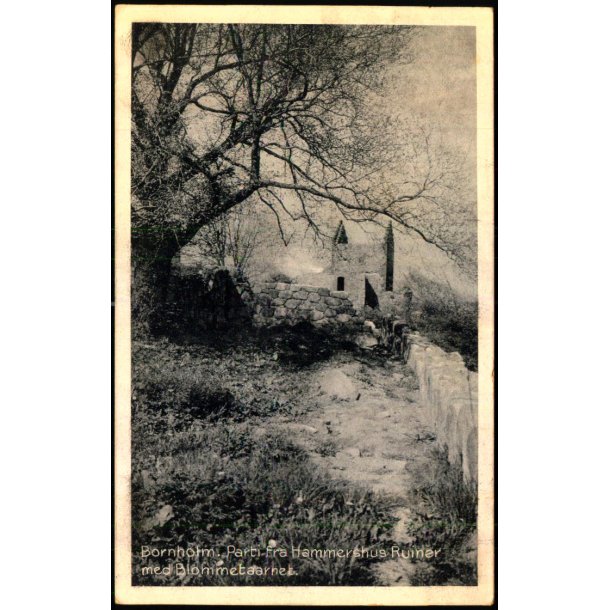 Bornholm - Parti ved  Hammershus Ruiner med Blommetaarnet - Colbergs Bogh. 541 - Brugt