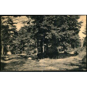 Tisvilde Hegn - C.F. u/n - Ubrugt