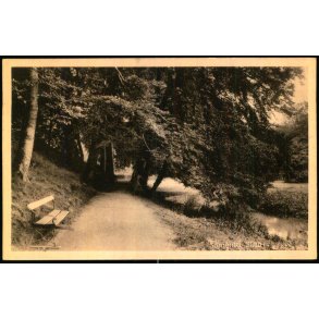 Lyngby - Sorgenfri Skov - Henriksens Bogh. 64539 - Ubrugt - Har v�ret kl�bet op !