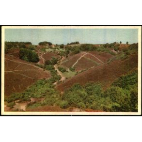 Gryden - Rebild Nationalpark - Stender 7 - Brugt