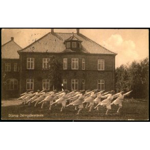 Ollerup Delingsf�reskole - A.R. Brydegaard 45486 - Brugt